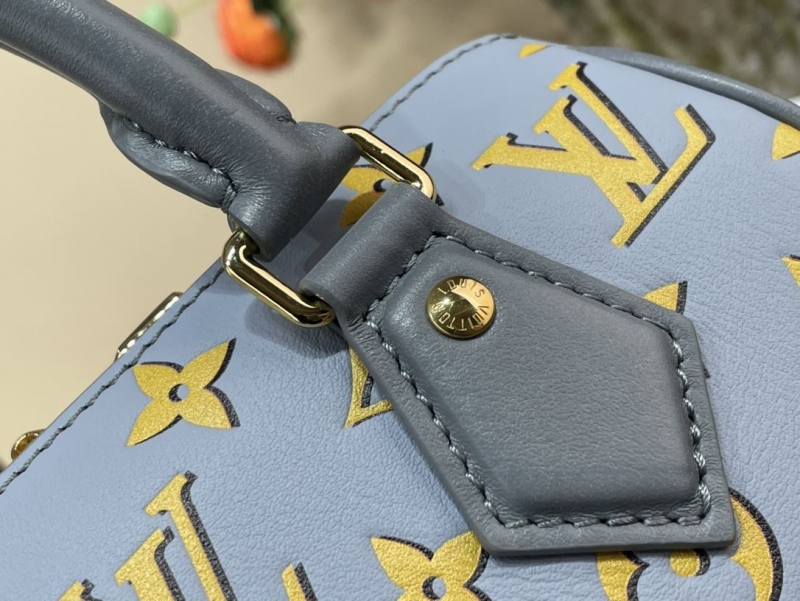 LV Speedy Bags